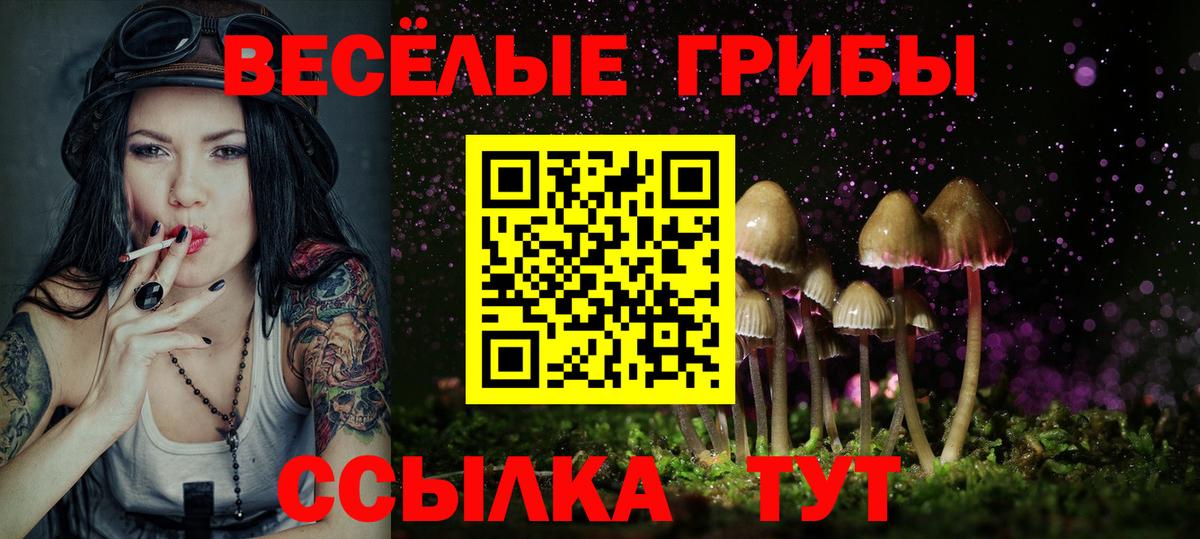 Галлюциногенные грибы MAGIC MUSHROOMS  Вход с VPN  Чебаркуль 